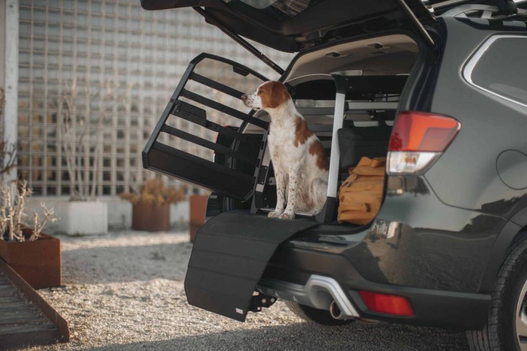 THULE ALLAX, il top della sicurezza per il trasporto dei nostri amici a quattro zampe